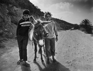 two children and a donkey, taken in morocco.