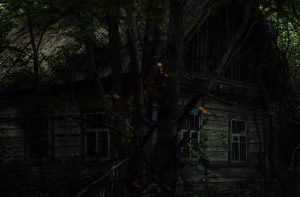abandoned house in the woods
