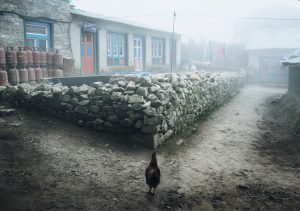  CHICKEN IN namchebasar