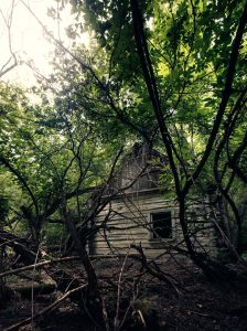 abandoned house in the woods