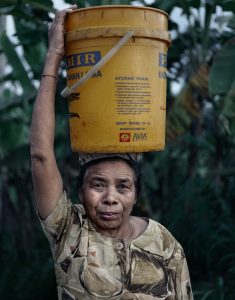  lady with a bucket working in the rice fields on bali