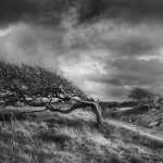 rubjerg knute old cemetery