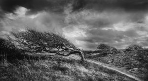 rubjerg knute old cemetery