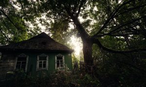 abandoned house in the woods