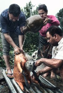 washing a goat